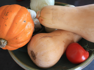 squash squash