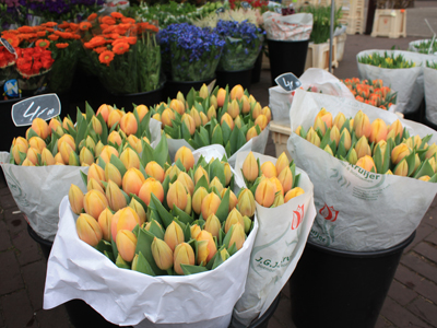 bloemenmarkt bloemenmarkt
