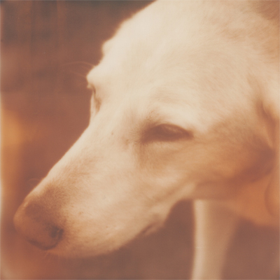 gus, the old man