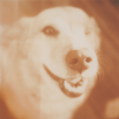 hannah, the one-eyed wonder