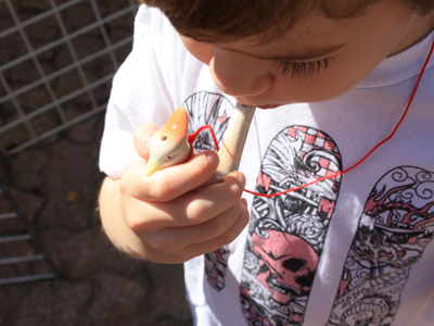 the obnoxious bird whistle! the obnoxious bird whistle!