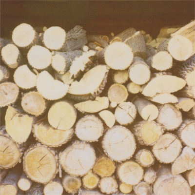 wood that heats my dad's house