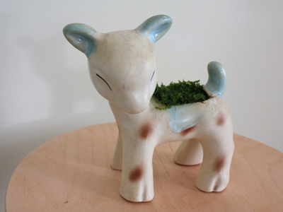 a deer!