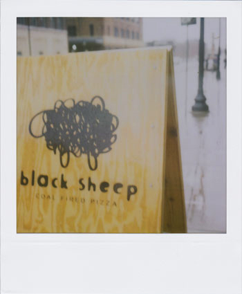 blacksheep blacksheep