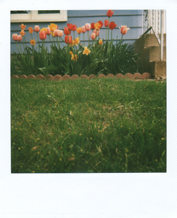 blue house