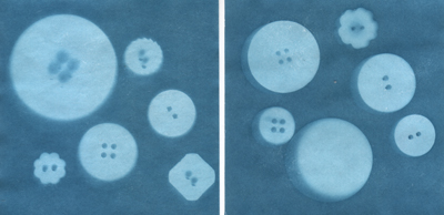 button sunprints