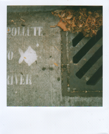 sewer drain
