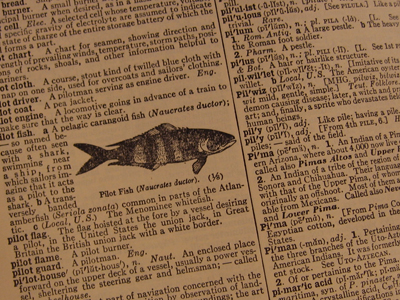 fish @ new york public library