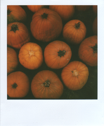 pumpkins on thomas