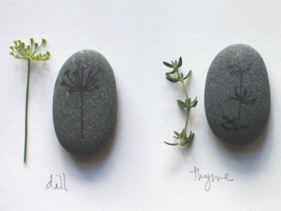 dill and thyme