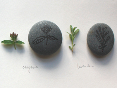 oregano and lavender