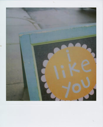 i like you i like you