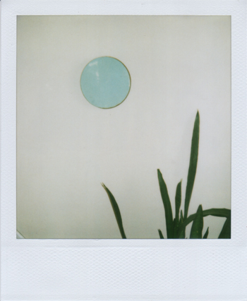 lid