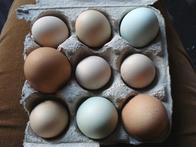 stirrings : eggs