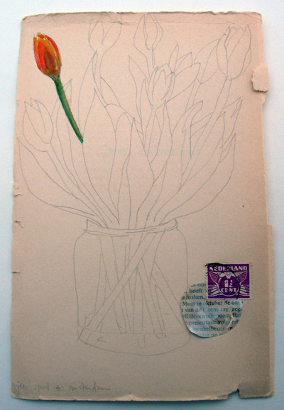 tulips